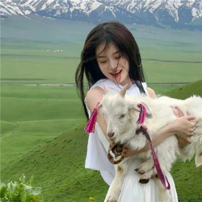 骷髅13：女王蜂